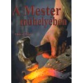 A Mester műhelyében - Diriczi Tibor