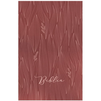 Biblia egyszerű fordítás  (EFO) - bordó, fűszálas