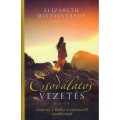 Csodálatos vezetés - Elizabeth Mittelstaedt