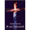 A mi bűneink