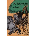 A buyufa alatt - Paul White