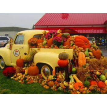  Bătând la ușa lui Dumnezeu 